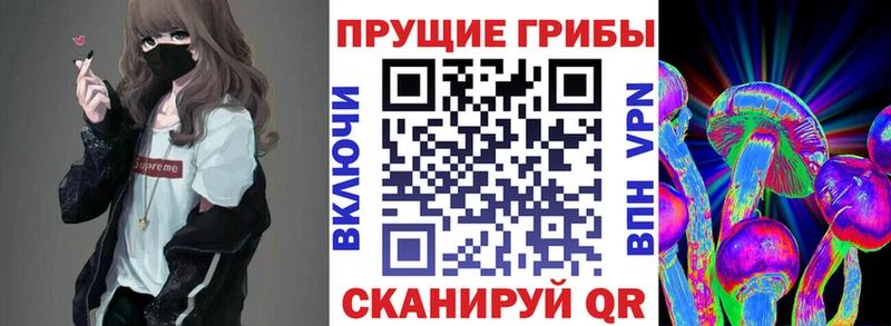 Псилоцибиновые грибы мицелий  Солигалич 